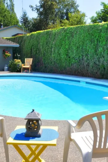 Cutters Pools -Georgetown Texas Pool Builders 7 Pool builders in Georgetown
