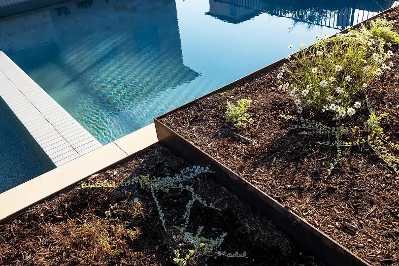 Cutters Pools-Belterra 13